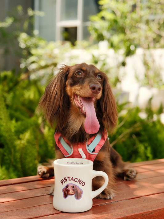 Custom Pet Portrait Mug – Dog Life, Best Life Edition