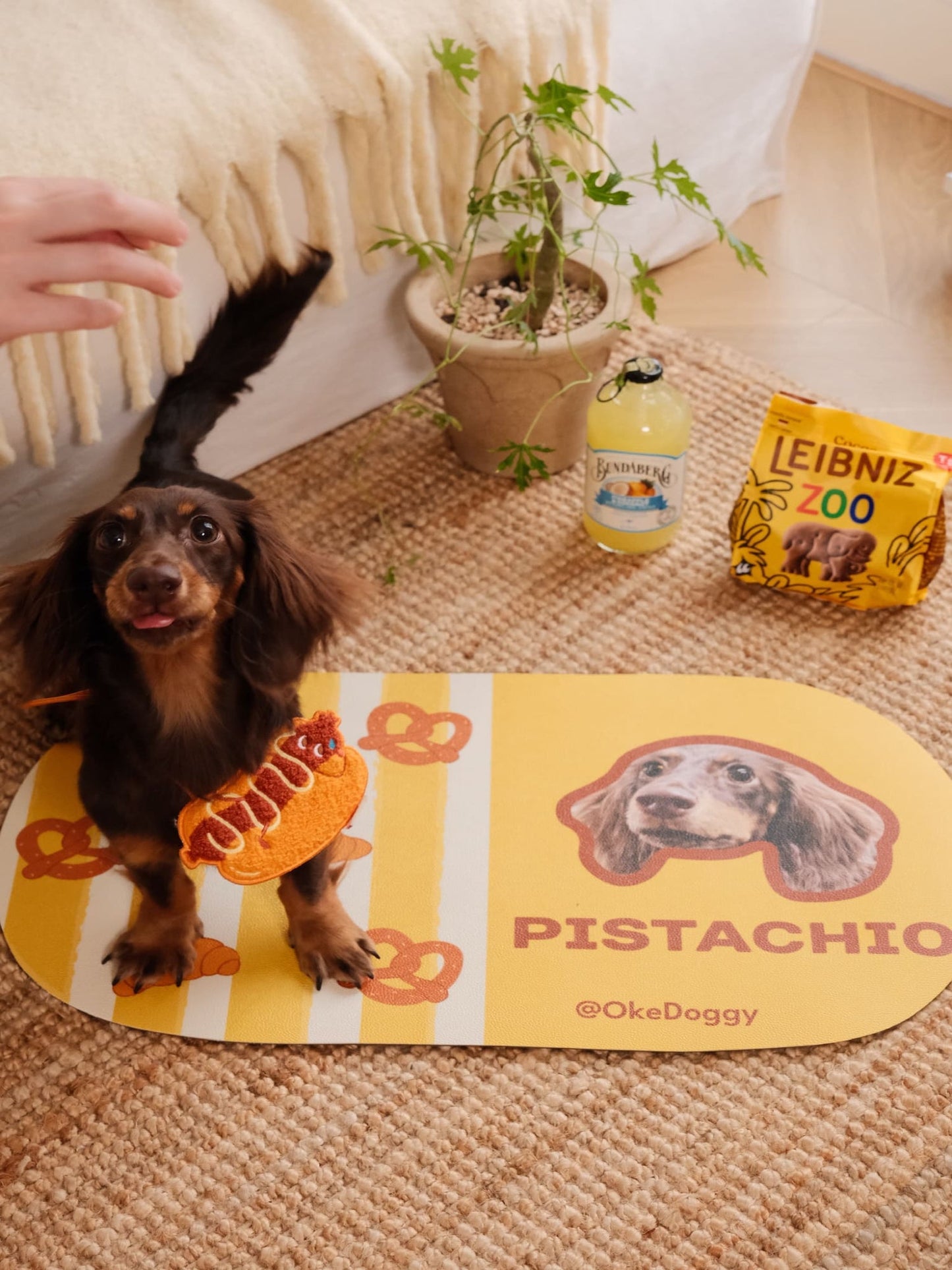 Custom Pet Portrait Non-slip Mat-Okedoggy-Bon Appetit!-60*35cm