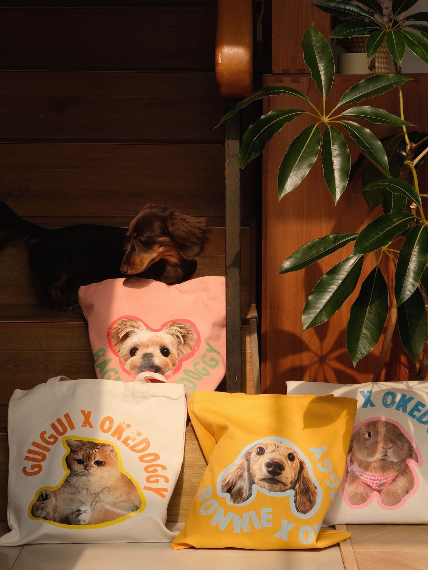 Custom Pet Potrait Canva Bag--Cotton Candy-35*40 cm