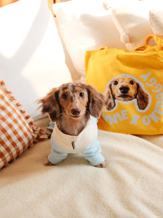 Custom Pet Potrait Canva Bag-Sunny Seaside-35*40 cm