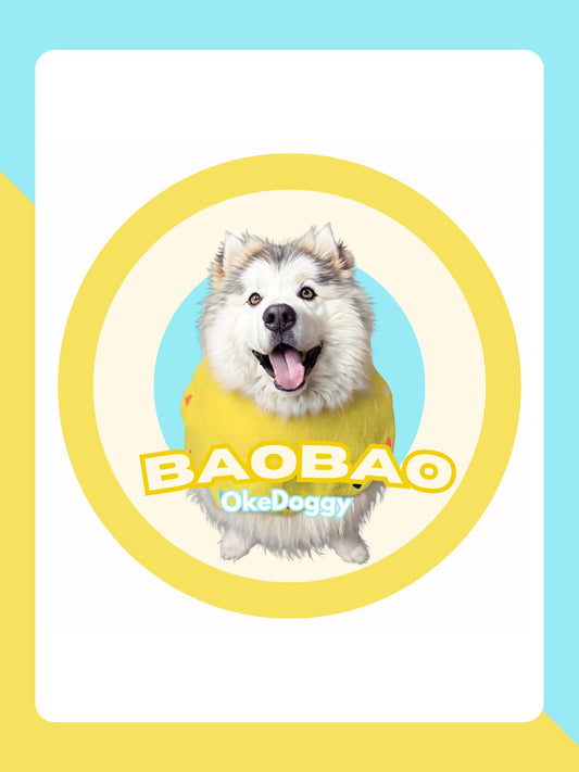 Custom Pet Potrait Fluffy Rug-Okedoggy-Sunny Seaside-80*80CM