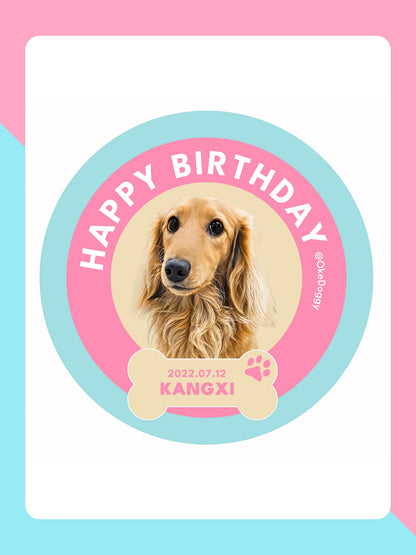 Custom Pet Potrait Fluffy Rug-Okedoggy-Birthday Cake-80*80CM