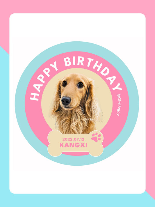 Custom Pet Potrait Fluffy Rug-Okedoggy-Birthday Cake-80*80CM