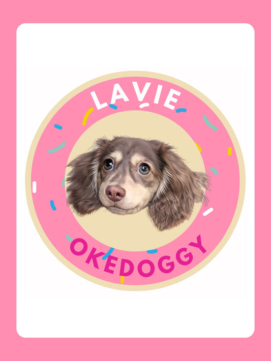 Custom Pet Potrait Fluffy Rug-Okedoggy-Strawberry Donut-80*80CM