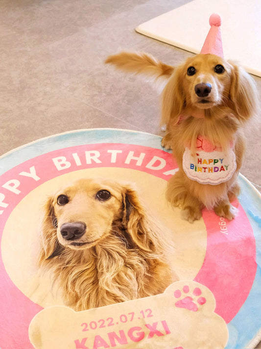Custom Pet Potrait Fluffy Rug-Okedoggy-Birthday Cake-80*80CM