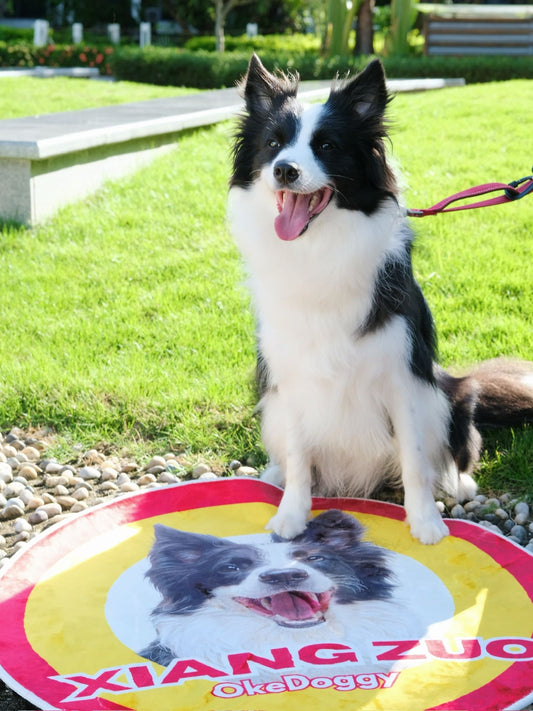 Custom Pet Potrait Fluffy Rug-Okedoggy-Ketchup Fries-80*80CM