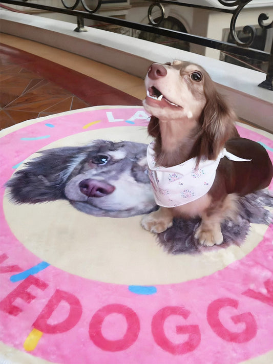 Custom Pet Potrait Fluffy Rug-Okedoggy-Strawberry Donut-80*80CM