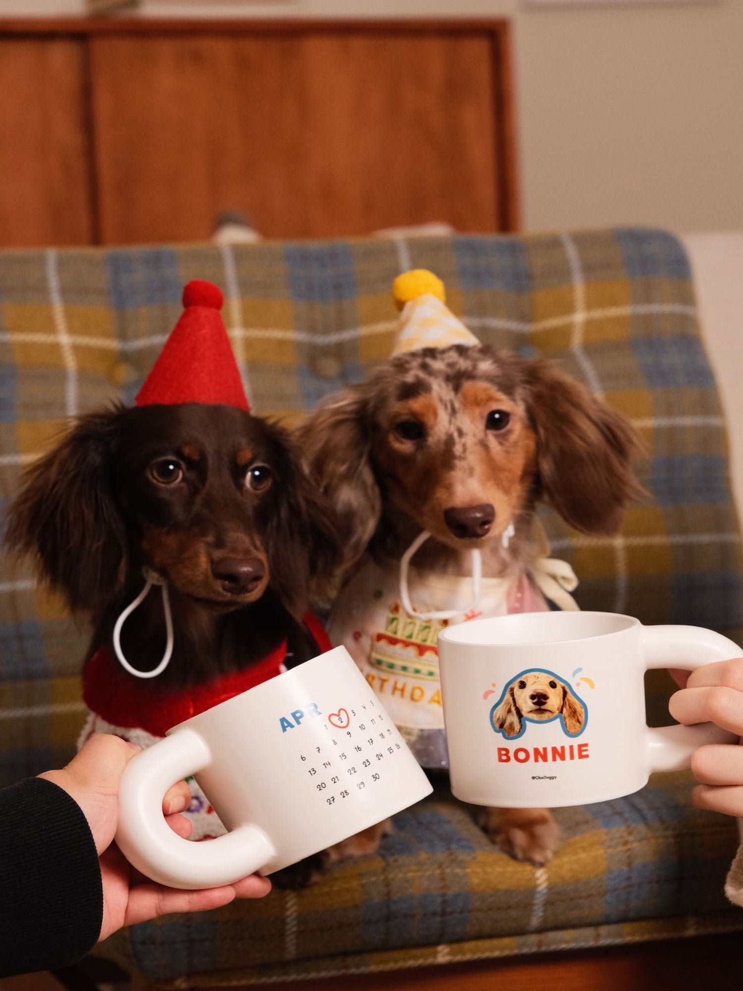 Okedoggy-Beige-Birthday Ver.