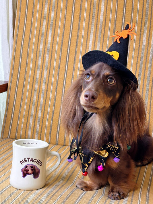 Custom Pet Portrait Mug – Dog Life, Best Life Edition