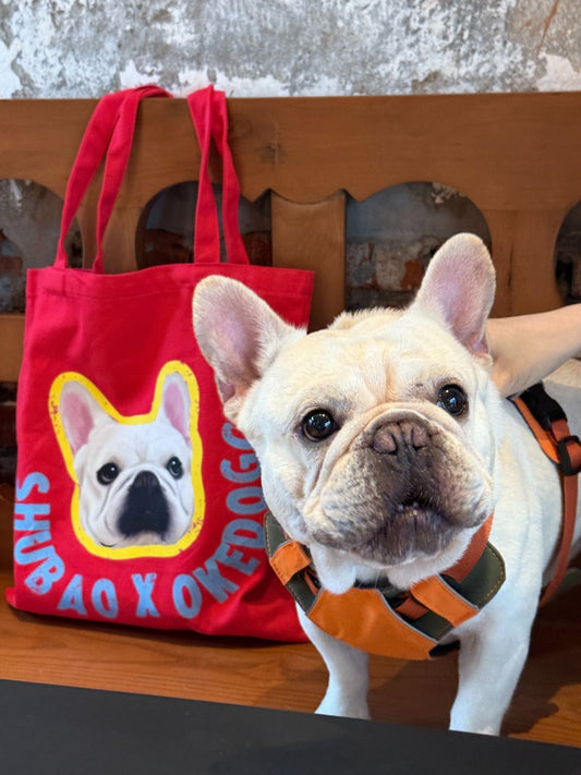 Custom Big Pet Portrait Tote Bag